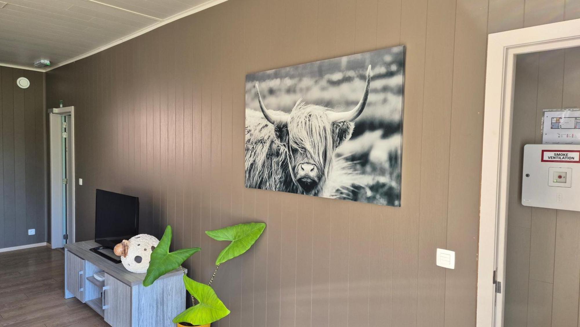 B&B De Dulle Koe Waregem Exteriör bild